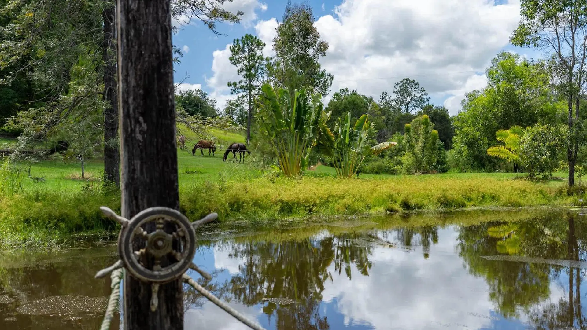Chain Of Ponds Cottage By Tiny Away Tamaree Holiday home